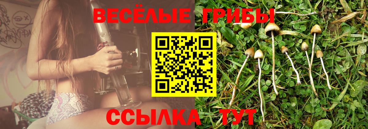 Саранск  купить   Вход с VPN  Псилоцибиновые грибы Cubensis  Галлюциногенные грибы Magic Shrooms 