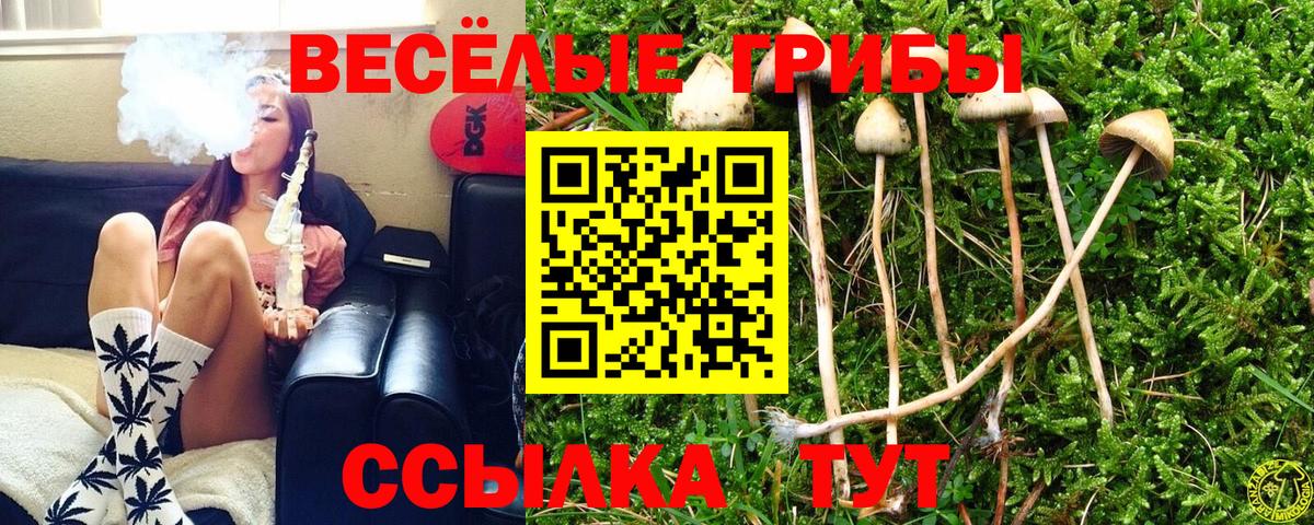 Псилоцибиновые грибы Magic Shrooms Саранск