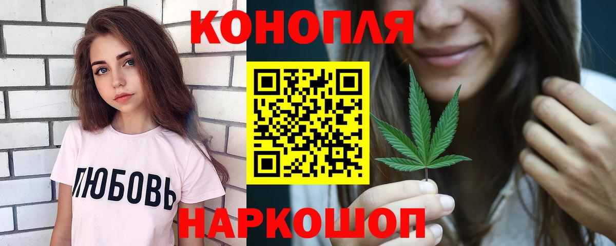 Конопля сатива Саранск